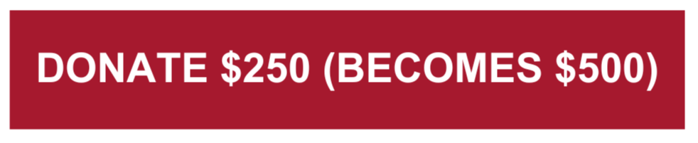 Donate $250 Button