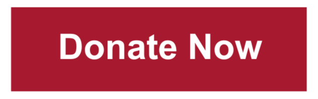 Donate Now Button