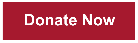 Donate Now Button