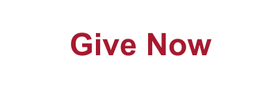 Give Now Button