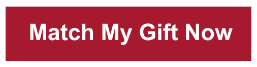 Match My Gift Now Button