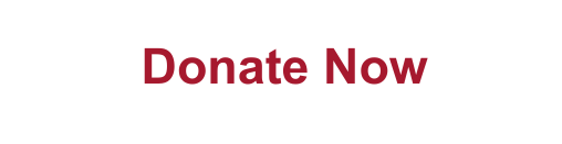 Donate Now Button