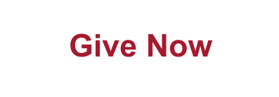 Give Now Button