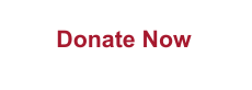 Donate Now Button